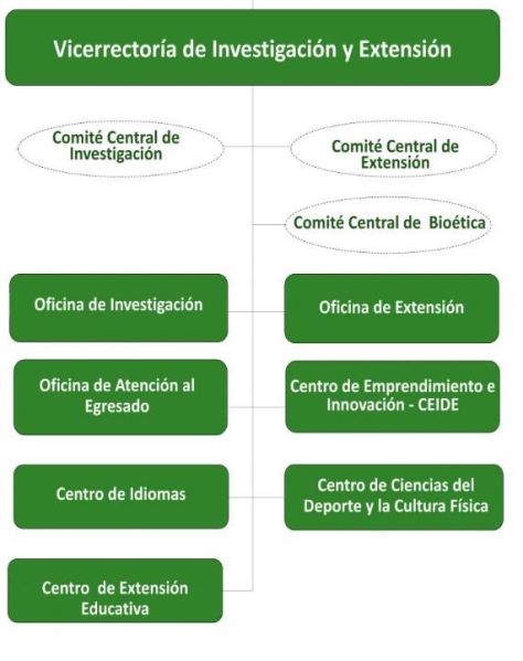 Archivo:Figura1 Estructura VIE Unicordoba.jpg